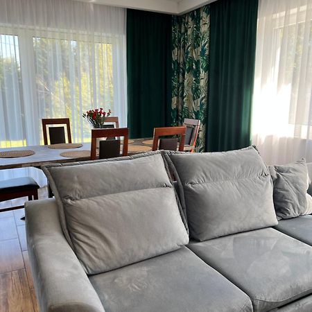 Dom Na Borowkowym Wzgorzu Lejlighed Palesnica Eksteriør billede