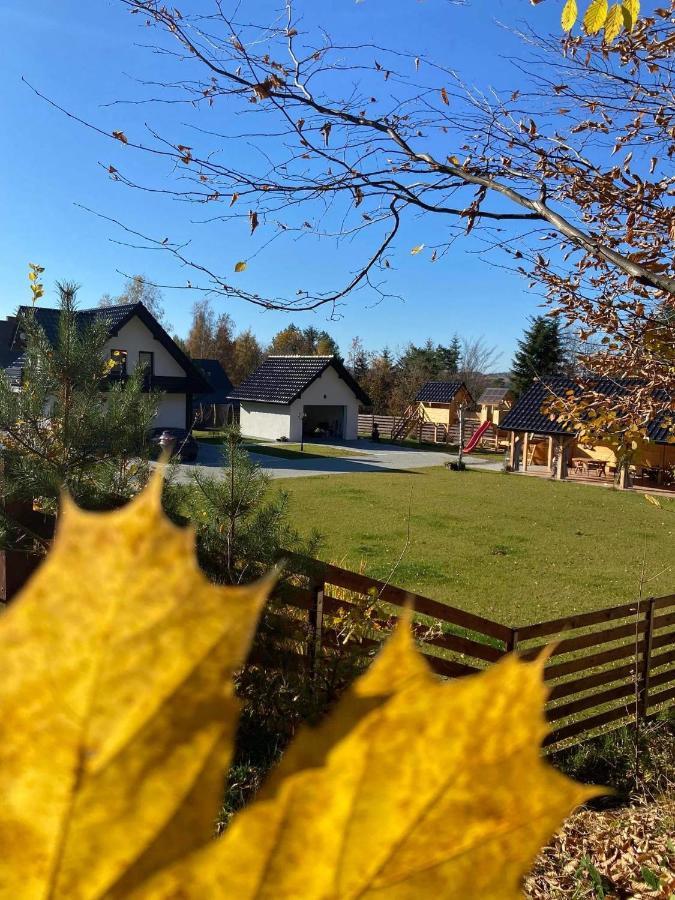 Dom Na Borowkowym Wzgorzu Lejlighed Palesnica Eksteriør billede